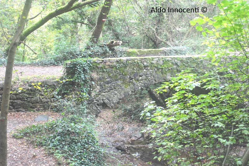 PONTE SUL RIO BUTI: IL PONTE
